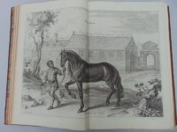 NEWCASTLE (William Cavendish, duc de): Méthode et invention nouvelle de dresser les chevaux.